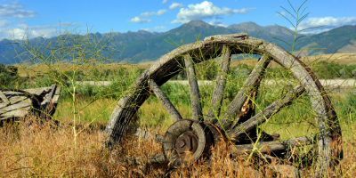 Wooden wheel lying in the grass on a clear sunny day